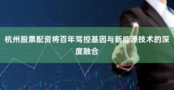 杭州股票配资将百年驾控基因与新能源技术的深度融合