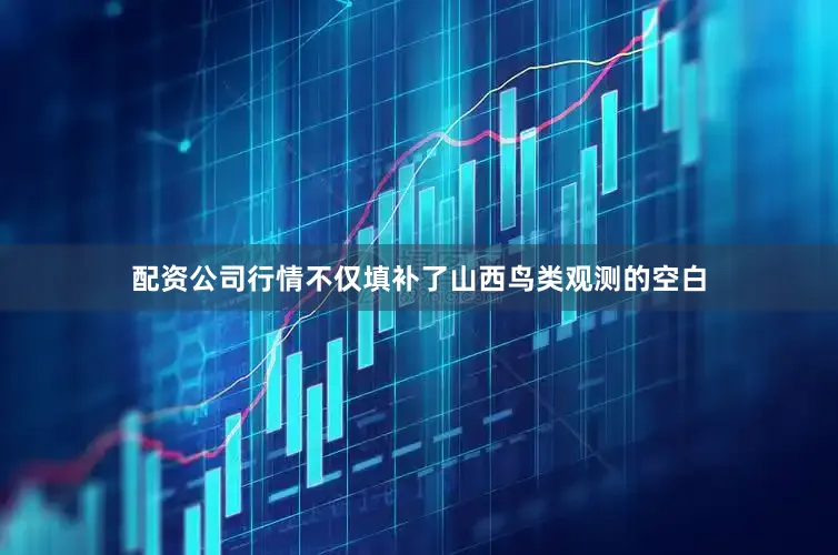 配资公司行情不仅填补了山西鸟类观测的空白
